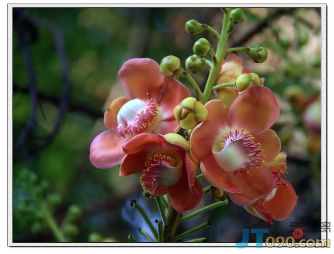 20100406_9896e945bcee3c868e34uGPkBgNamMXt.jpg