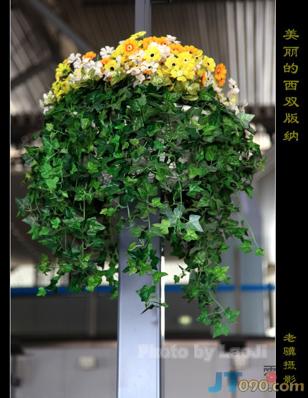 20100312_a85f93b6d98fff3d3c07YyOjEKRopuLG.jpg