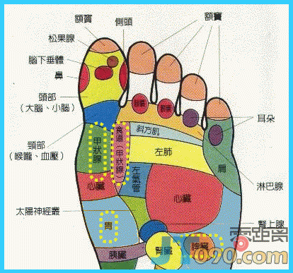 20077979438.gif