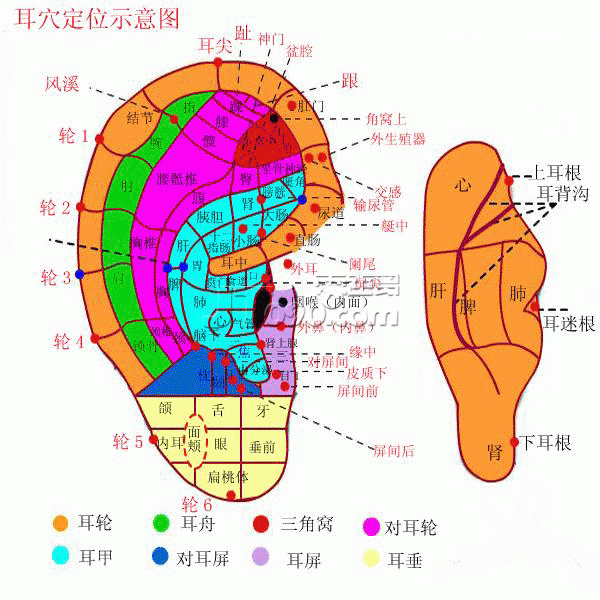 1.gif