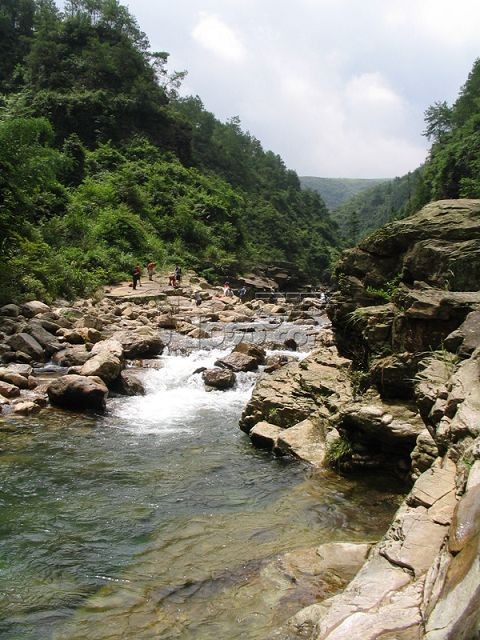 20090709104616439[1].jpg