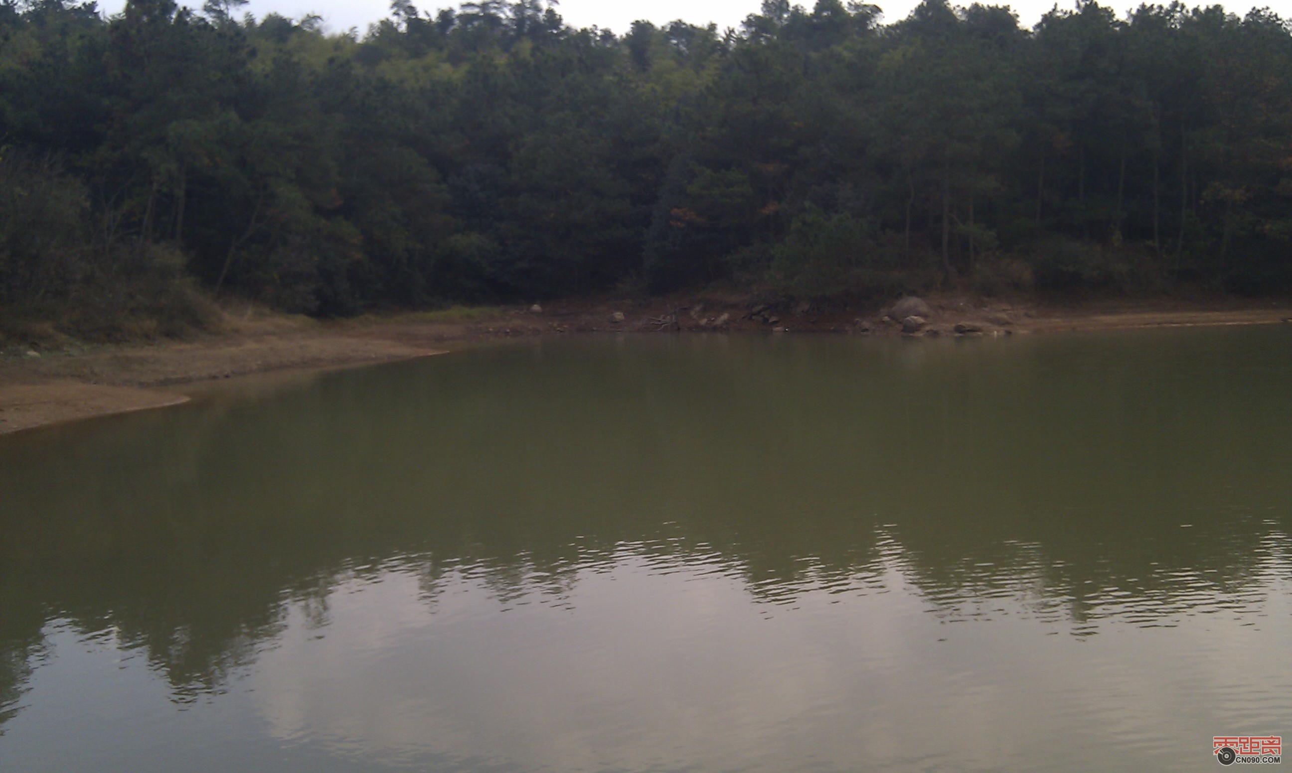 IMAG0039.jpg