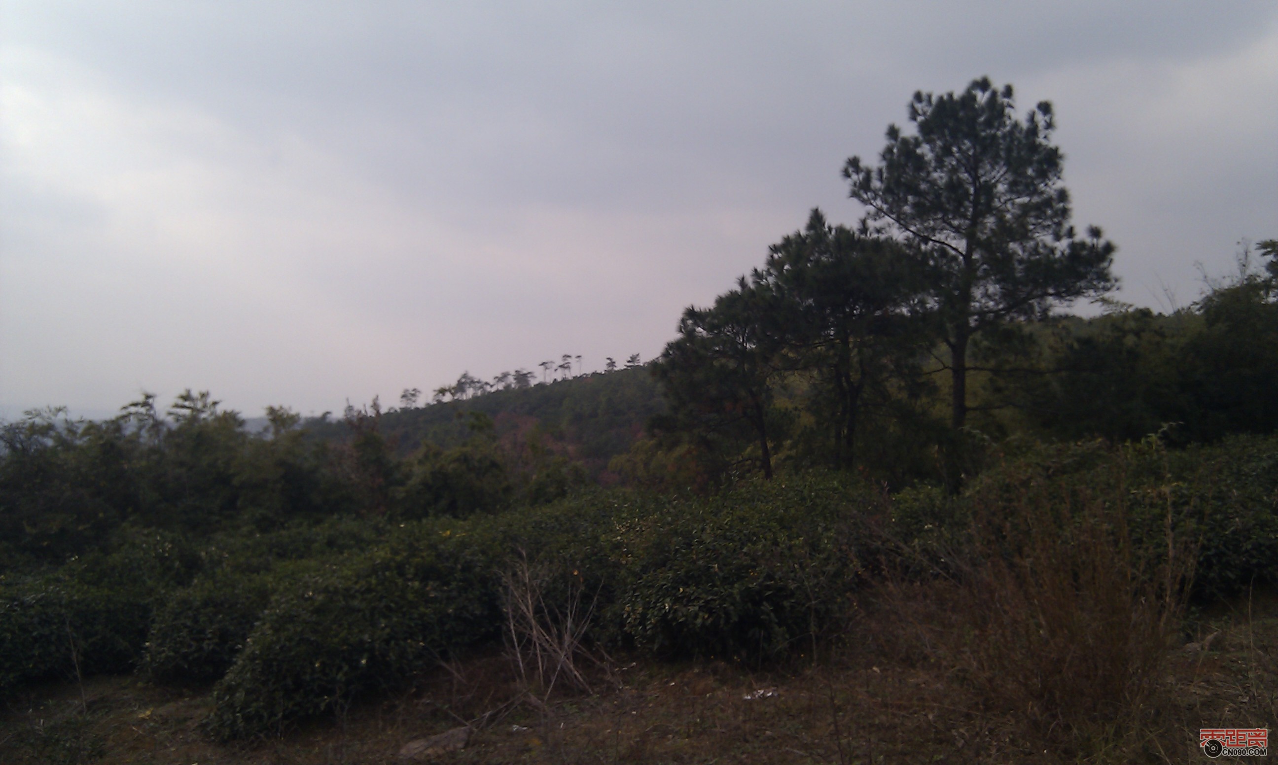 IMAG0032.jpg