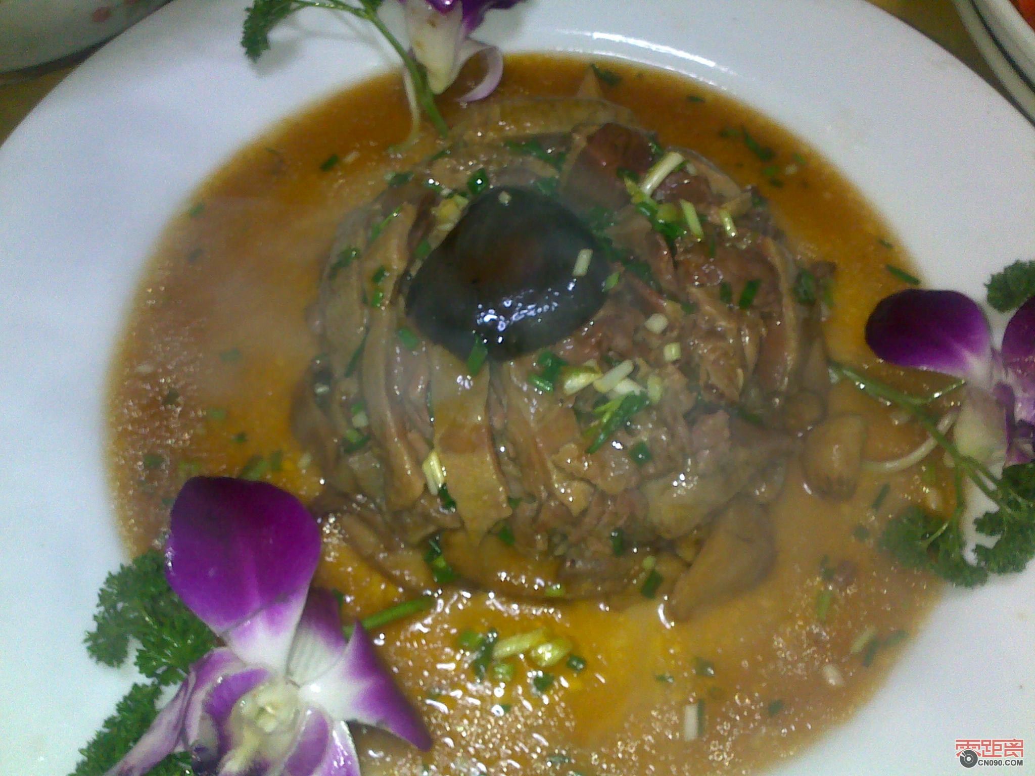 20120108781.jpg
