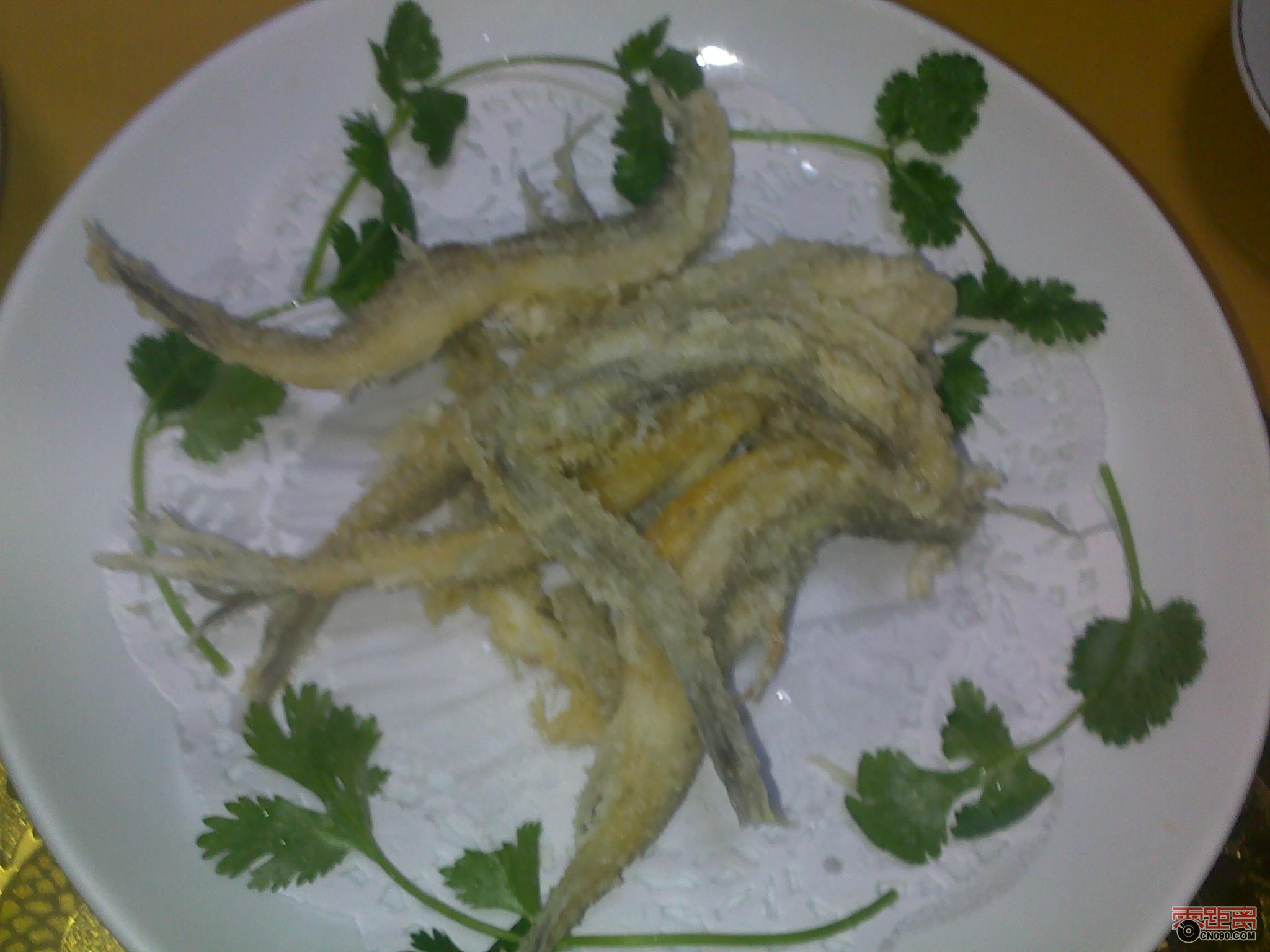 20120108780.jpg