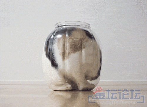 D3FCF5CEB67D85D266650394B8715637D80F5162BCC53_500_365.gif