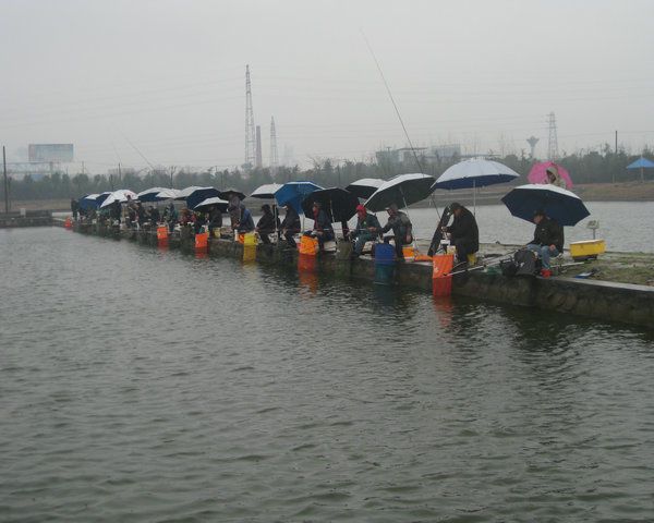 20110710153144629.jpg 20110710153144629.jpg