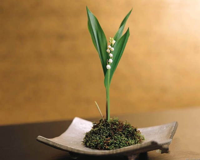 640(1).jpg 640(1).jpg