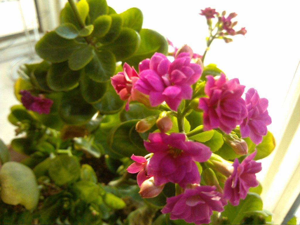 9621532_144657277127_2.jpg 9621532_144657277127_2.jpg