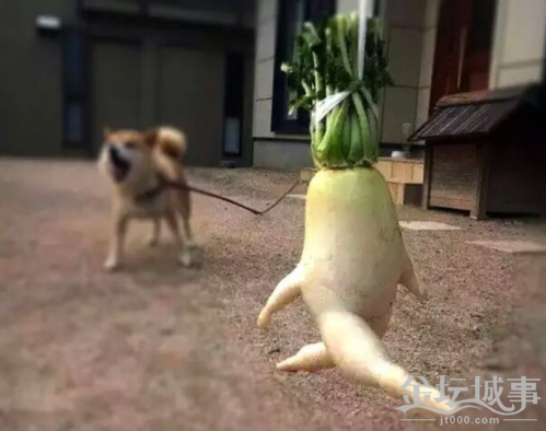 QQͼ20150818153034.png