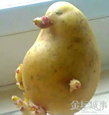 QQͼ20150818153023.png