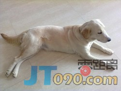 20101026151.jpg