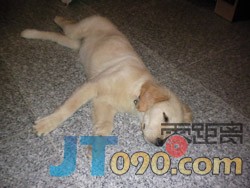 SANY0286.jpg