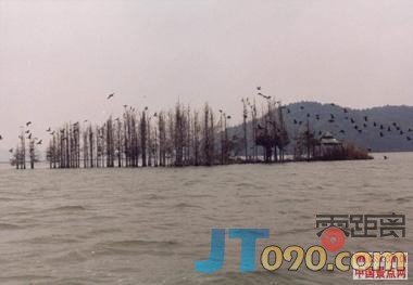 26100J52291.jpg