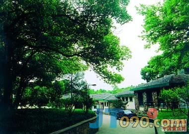 26100II191.jpg