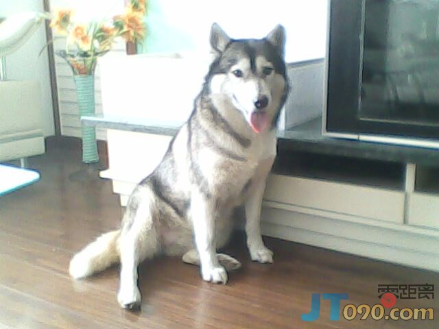 IMG0169A.jpg