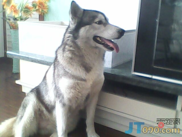IMG0170A.jpg