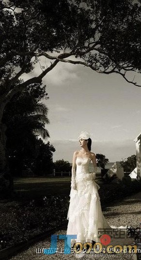 79_222860_23efaf4b9e7f138.jpg