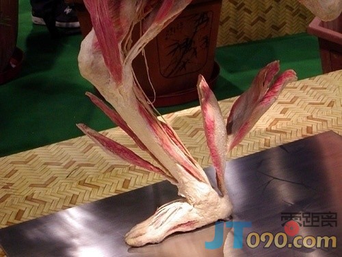 p_large_YvuQ_273d000404ad2d0b.jpg