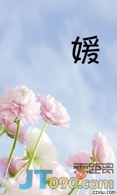 p_large_73zU_7b6400035e672d0e.jpg