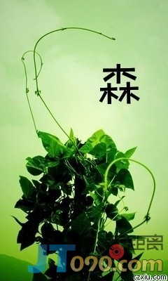 p_large_C5CE_58c7000077be2d0c.jpg