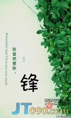 p_large_NNkG_1eae00023dce2d0d.jpg