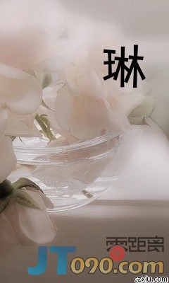 p_large_xbXr_269b000016c42d0f.jpg