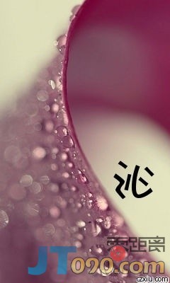 p_large_zVjq_4ea40000e9262d10.jpg