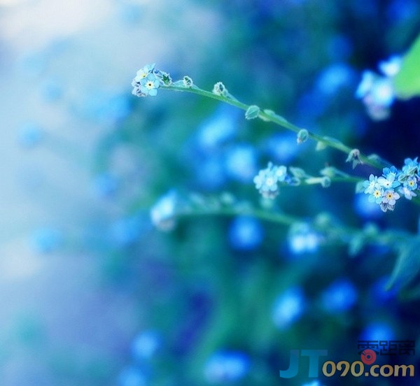 p_large_FCjP_6856000413405c43.jpg