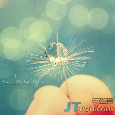 p_large_fRui_2087000088cb2d0b.jpg