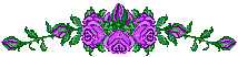 1139055859.gif