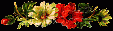 1139055949.gif