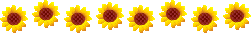 1139057567.gif