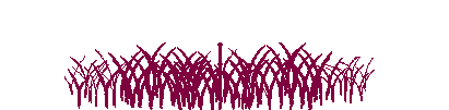 1139224801.gif