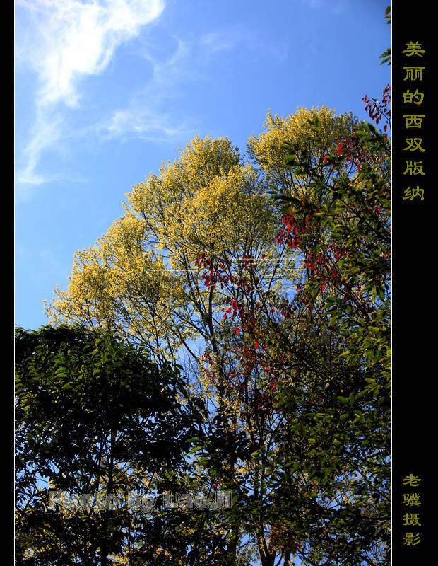 20100315_63680d335c80c58237cdvVOqUiQJafw0.jpg