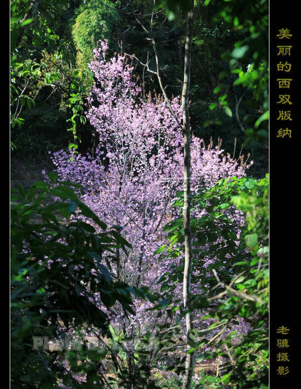 20100315_1dbefa742b50d93e4508rPx3BjBvkDDd.jpg