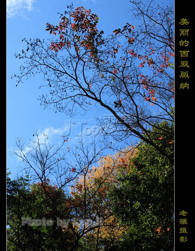 20100315_0025506b2d7907becd1fGAOv1ShQsjzr.jpg