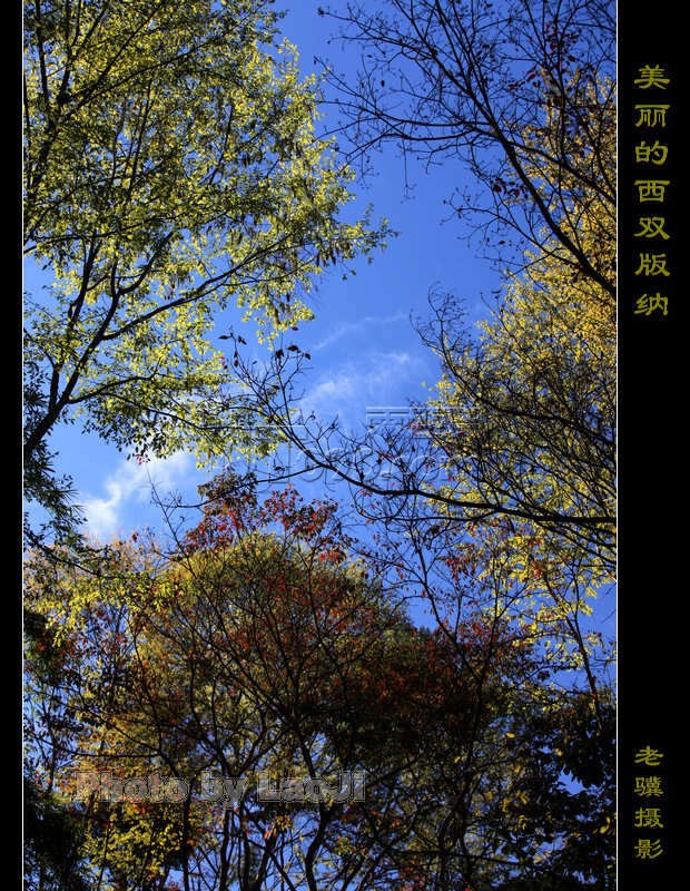 20100315_e2bbd187a501e9e669db27bQfxNb21YU.jpg
