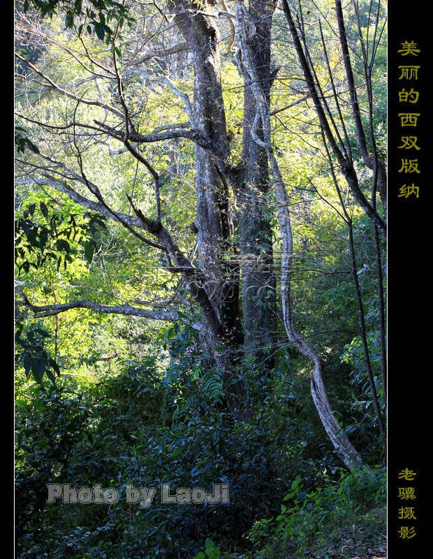 20100315_4c02facb8343304a528bTwV99Bj35LFJ.jpg