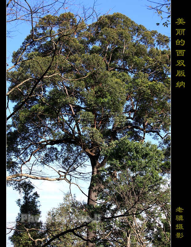 20100315_9f33f175a08ebcfa35fbCk6CmBXzJk4m.jpg