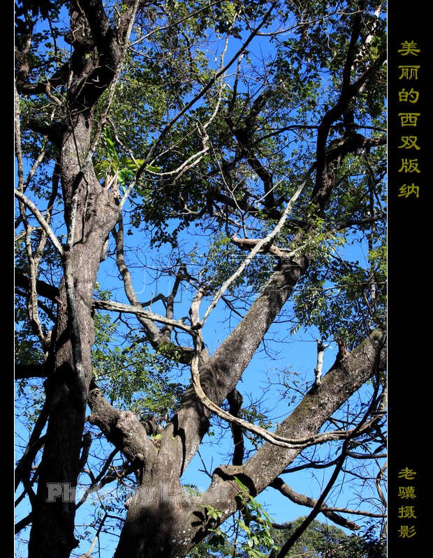 20100315_d0b8a3bc59f91a620b030c9CZ7OGLFX0.jpg