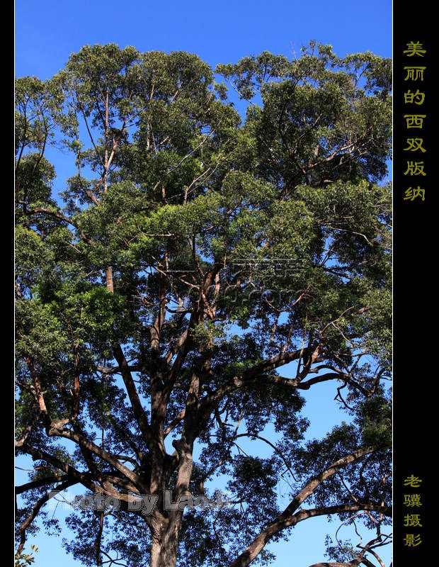 20100315_ca3680863b08dcbe96cbE4Jrm2m6HHm8.jpg
