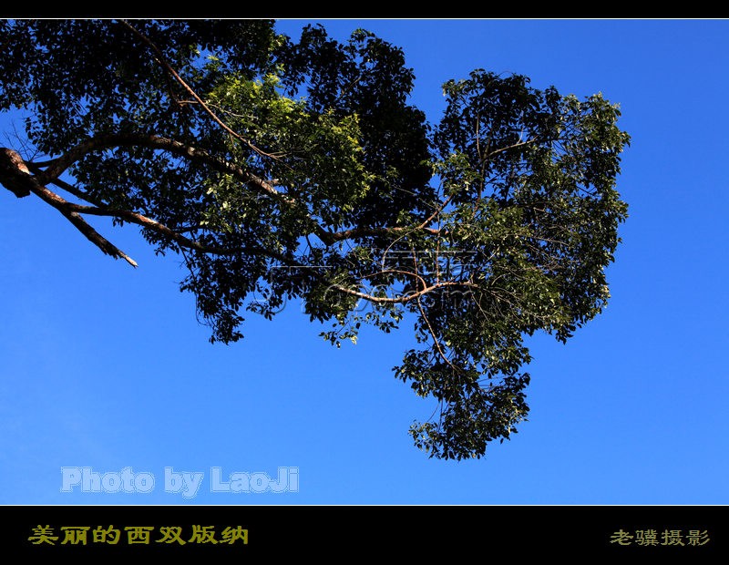 20100315_e74ac1ef948c22388b09yrpa7RLHD2yt.jpg