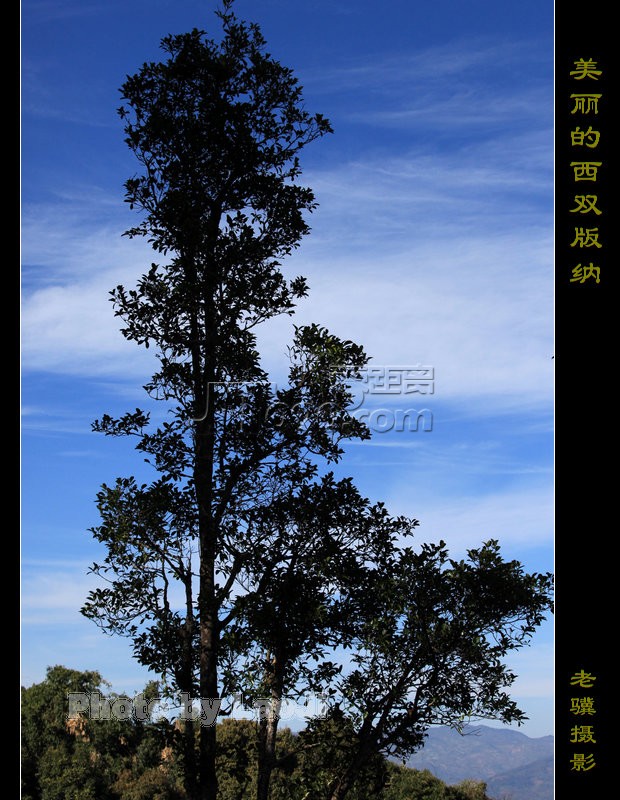 20100315_ab433035ec0cbaba711aYW5PUT0QKsu9.jpg