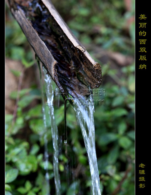 20100315_2a3a060c2ffdc5543907aEzcRuGQdwdT.jpg