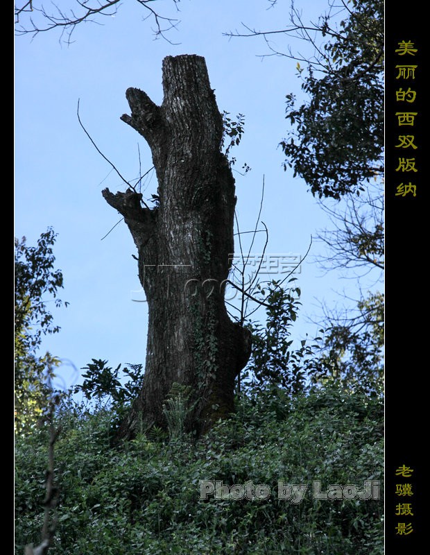 20100316_388d5f77344068d7b14cJov7yHeygbTn.jpg