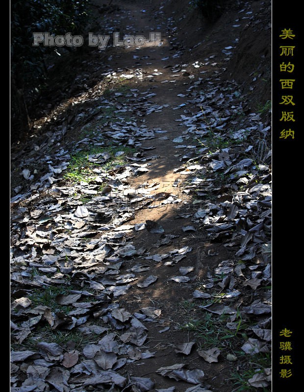 20100316_c04f297a624c4e4c0519Bo3NeEZc7Uxi.jpg