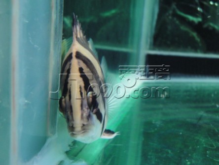 QR[GFK(2_(67G(VTU$})OT7.jpg