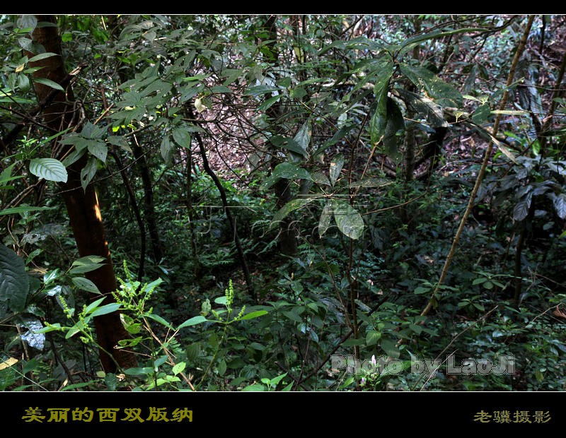 20100316_51b567712bb255011017U93g9GVBD0st.jpg