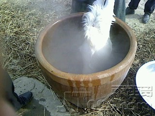 IMG1216121001.jpg